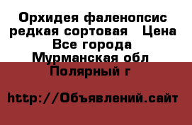 Орхидея фаленопсис редкая сортовая › Цена ­ 800 - Все города  »    . Мурманская обл.,Полярный г.